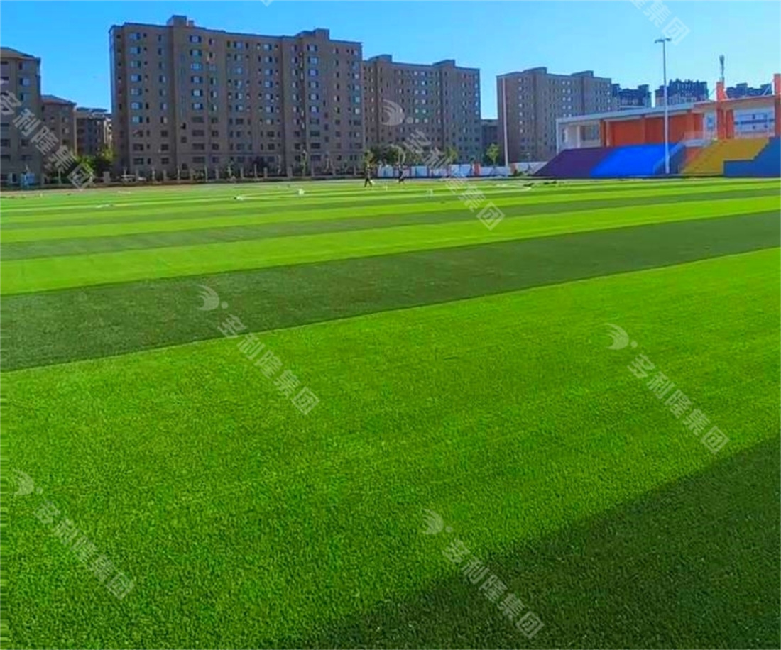 优发娱乐·(国际)官方网站免充砂足球草,优发娱乐·(国际)官方网站地弹坪